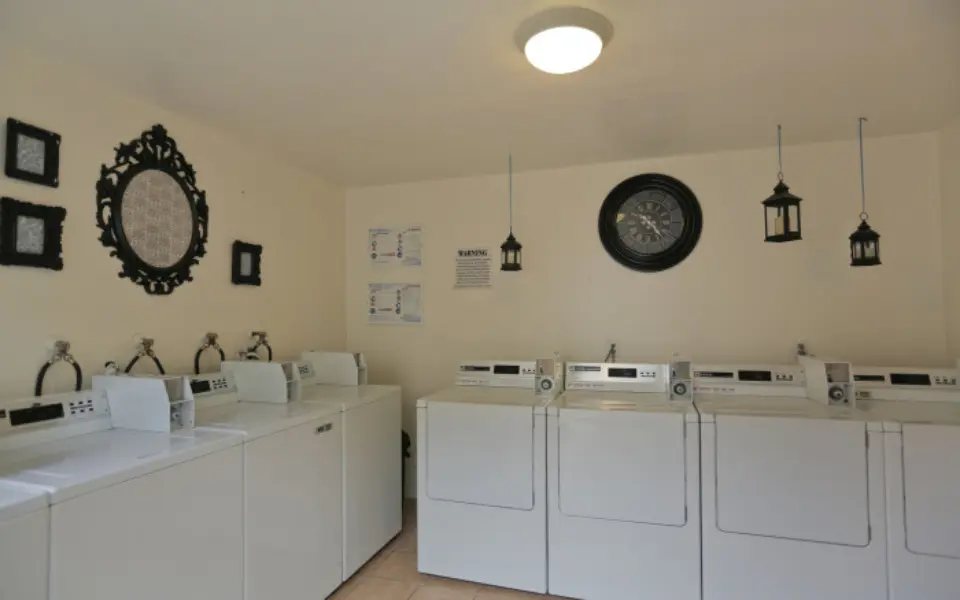 16205-Woodruff-Laundry-e1408466753261-960x600_c