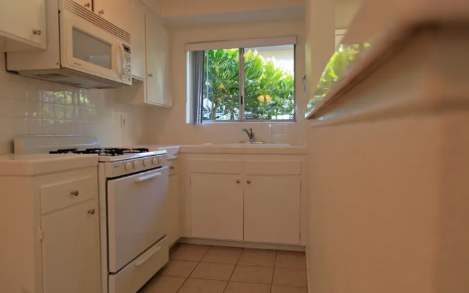 MG_6522-960x600_c